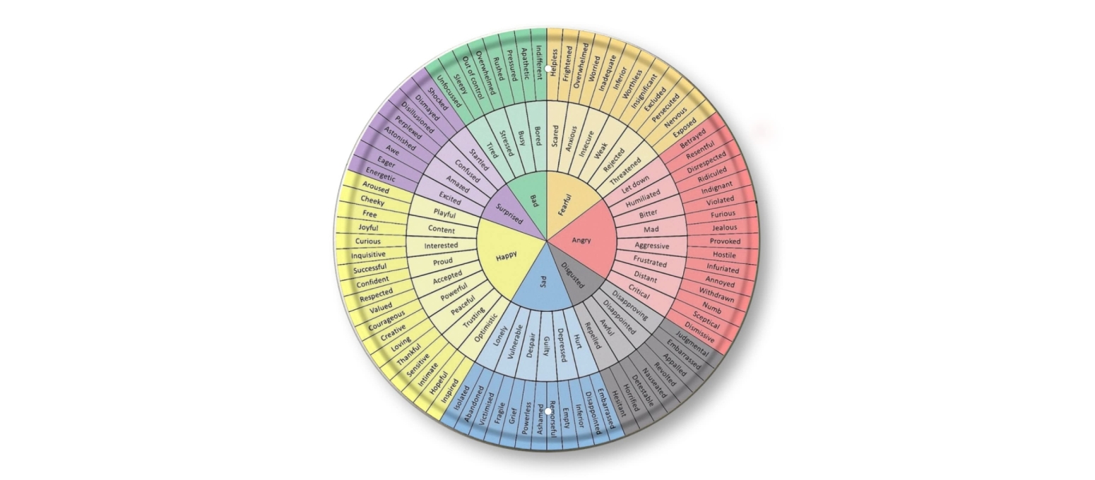 Duyguları İsimlendirmenin Gücü