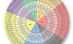 Duyguları İsimlendirmenin Gücü