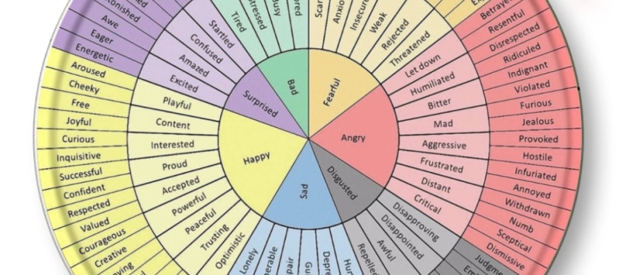 Duyguları İsimlendirmenin Gücü