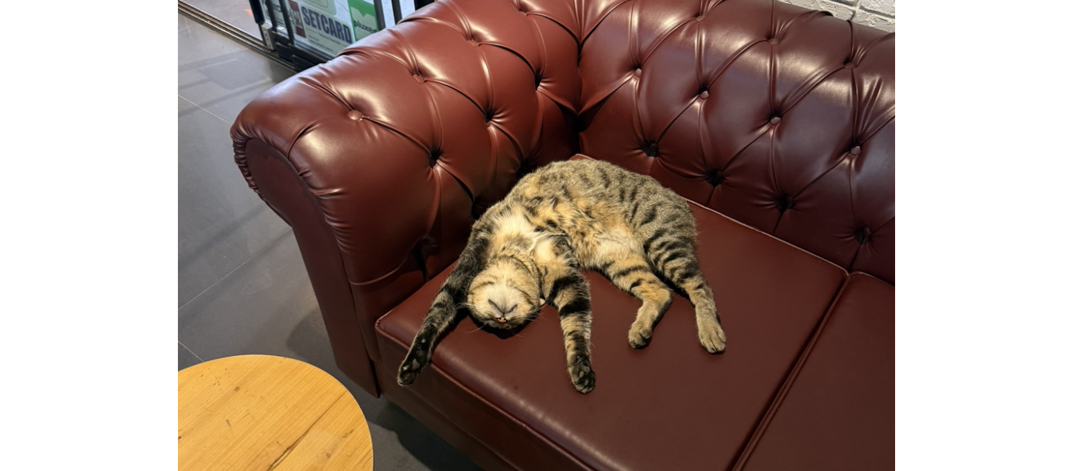 Çok da Anlam Aramamak Lazım