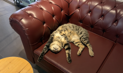 Çok da Anlam Aramamak Lazım