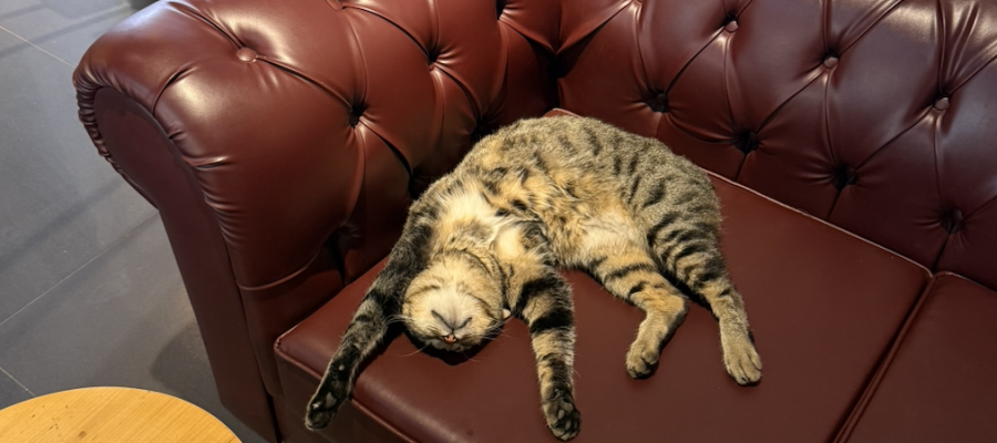 Çok da Anlam Aramamak Lazım