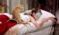 Sekiz Saat Uyudum, Yine de Yorgunum. Neden?