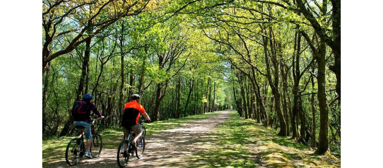 Bisiklet Turu Yapmak İsteyenlere Başlangıç Rehberi