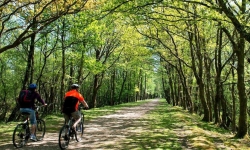 Bisiklet Turu Yapmak İsteyenlere Başlangıç Rehberi
