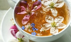 Bitki Çayları Sağlık mı, Sadece Bir Ritüel mi?