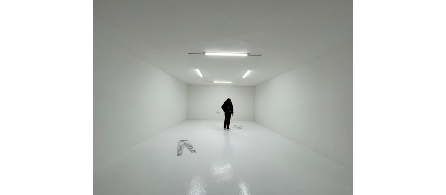 Kaç Bedende Yaşar Bir İnsan?