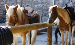 BİNİCİLİĞE GİRİŞ