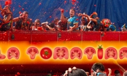 Bir Ülke Bir Bilgi: İspanya'da Domates Savaşı 