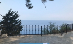 Why Yoga Benefits Both Body and Mind?