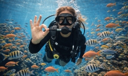 Kaş’ta Dalış: Deniz Altının Büyülü Dünyası