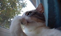 Düşünmekten Yorulmak Diye Bir şey Var