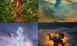 Hangi Mevsimde Çiçek Açıyoruz? | Burçlar ve Mevsimleri 