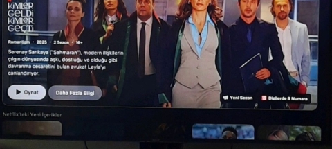 asli aktulun