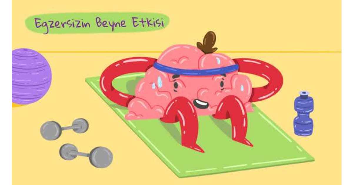 Sporun Beyin Üzerindeki Biyolojik Etkileri: Egzersizin Sinir Sistemi ...