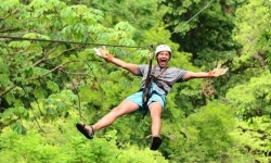 Gökyüzünde Süzülün: Ziplining ile Doğanın Kalbinde Adrenalin Dolu Bir Macera