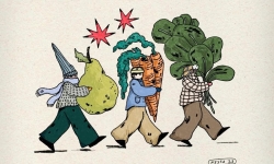  Veganlık, Vejetaryenlik ve Sağlık