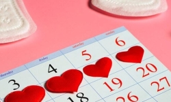 Kadın Hormonal Döngüsüne Uygun Egzersiz Planı: Hangi Haftada Ne Yapmalı?