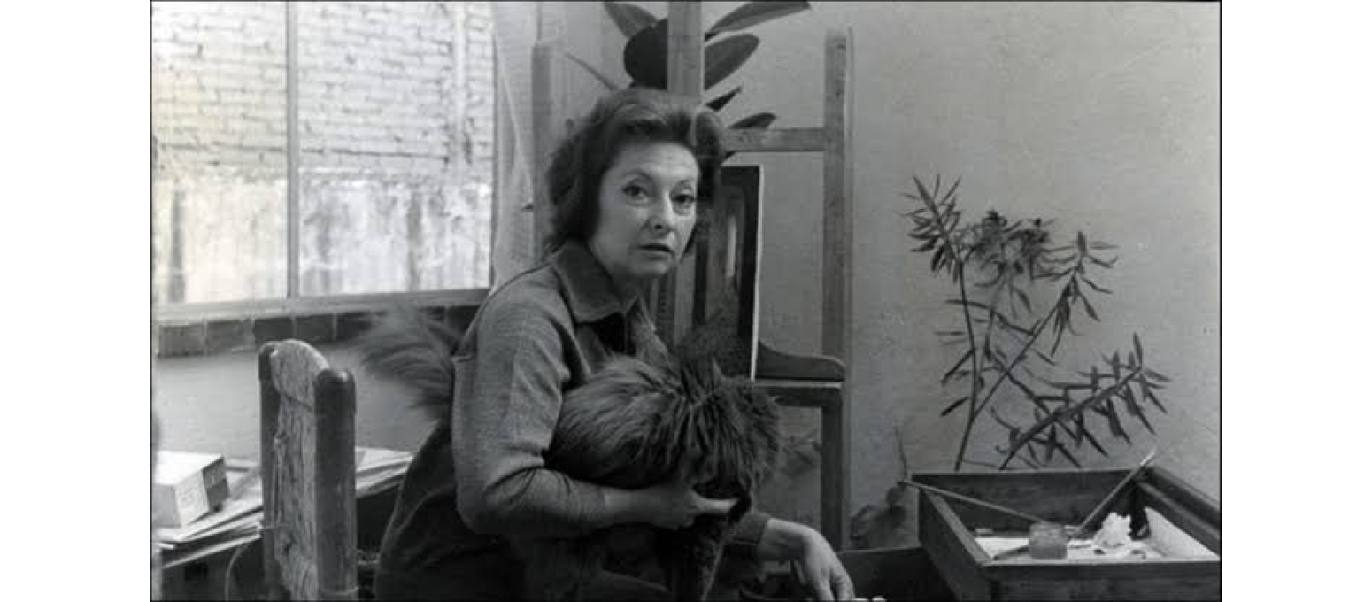 REMEDIOS VARÓ